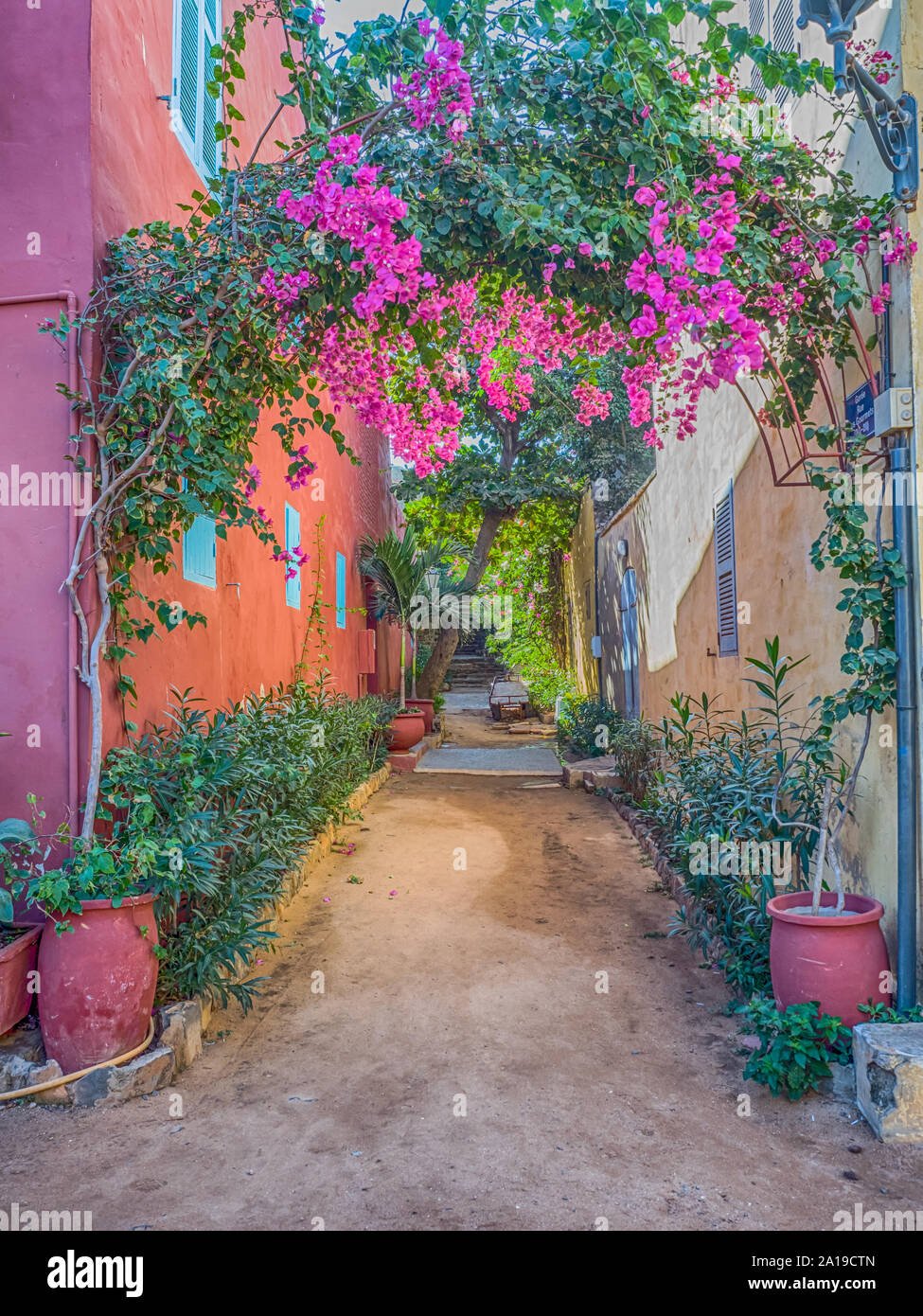 Goree, Senegal- February 2, 2019: Red, sandy path between the houses with plenty of colorful flowers on the Goree island. Gorée. Dakar, Senegal. Afric Stock Photo
