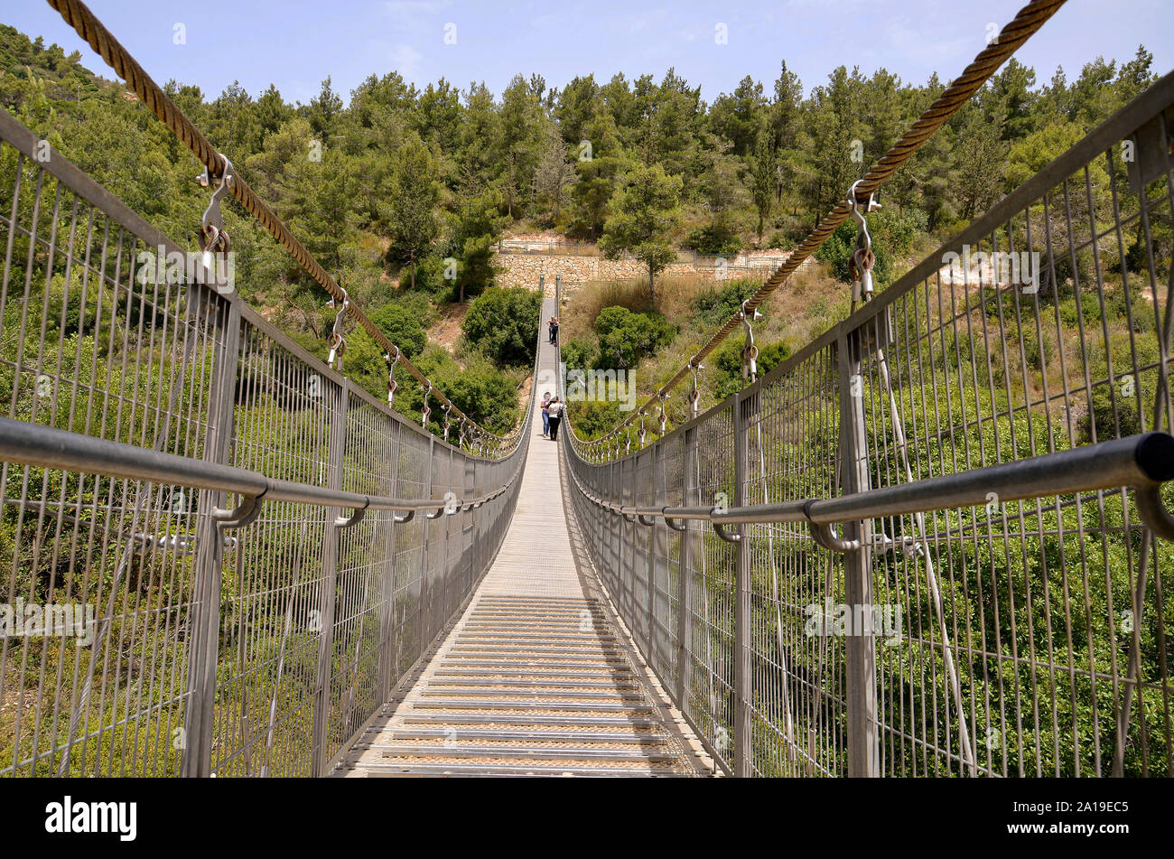 Israel, Carmel Mountain, a 70 meter suspension bridge in the Nesher Park Stock Photo