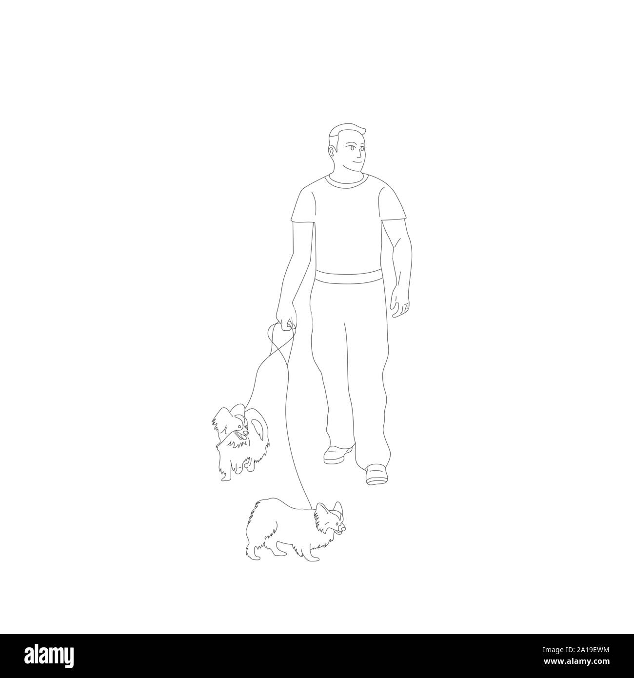 Young man in casual outfit is walking with two small papillon dogs on a leash. Stock Vector