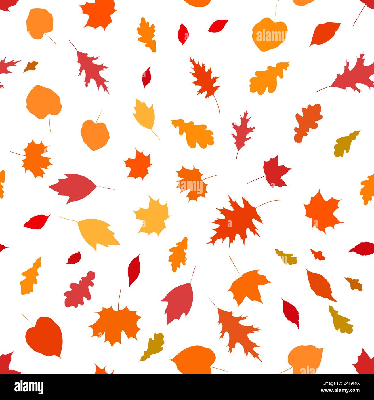 Colorful seamless pattern with autumn leaves on a white background ...