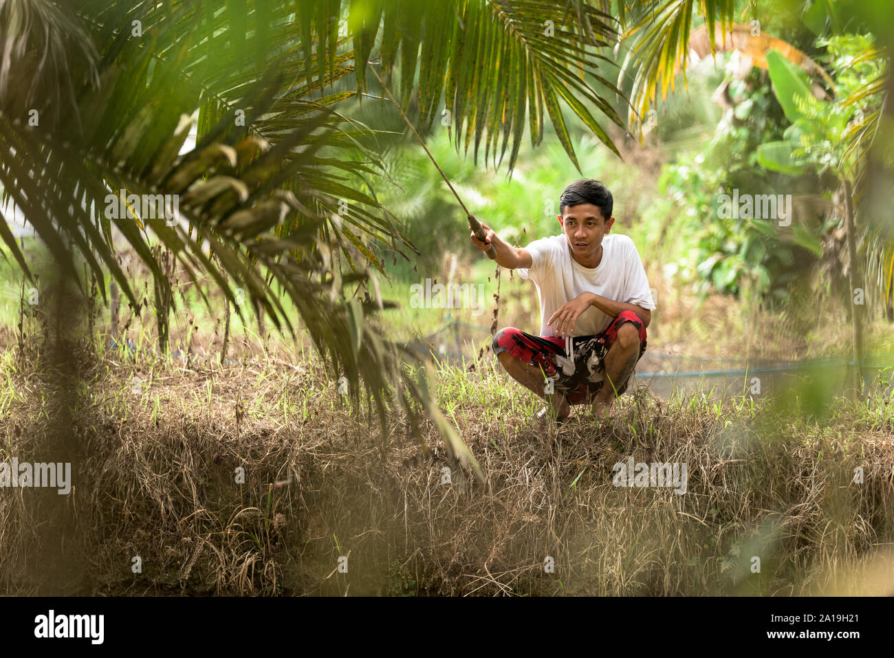 Man fishing alone in the jungle Stock Photo