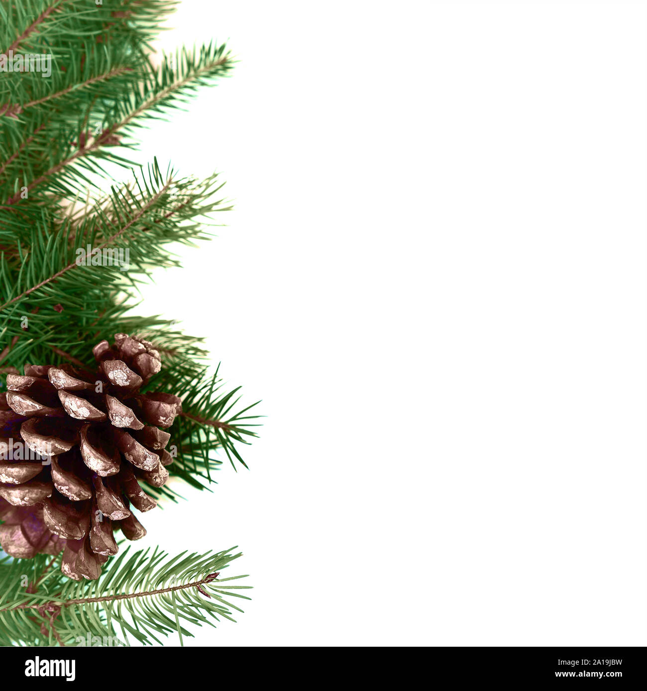 Fir pine branches background hi-res stock photography and images - Alamy