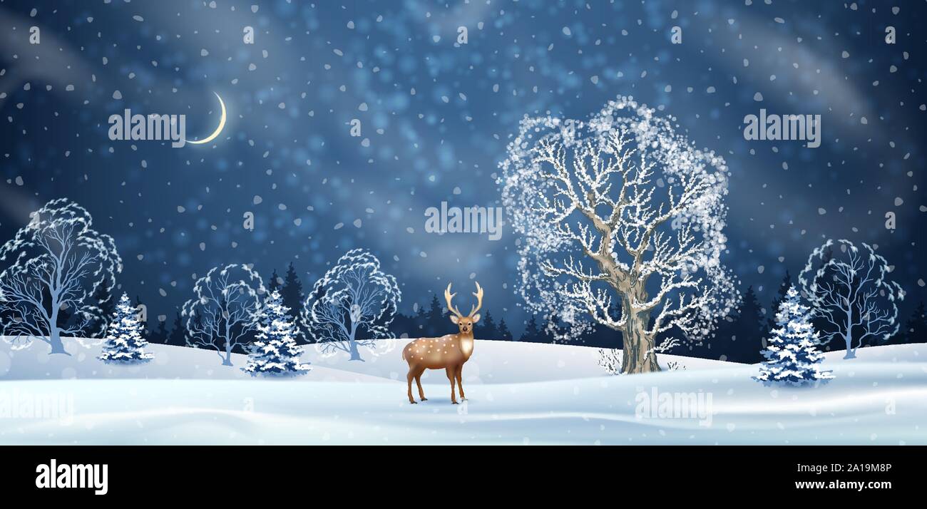 Night Winter Background Stock Vector