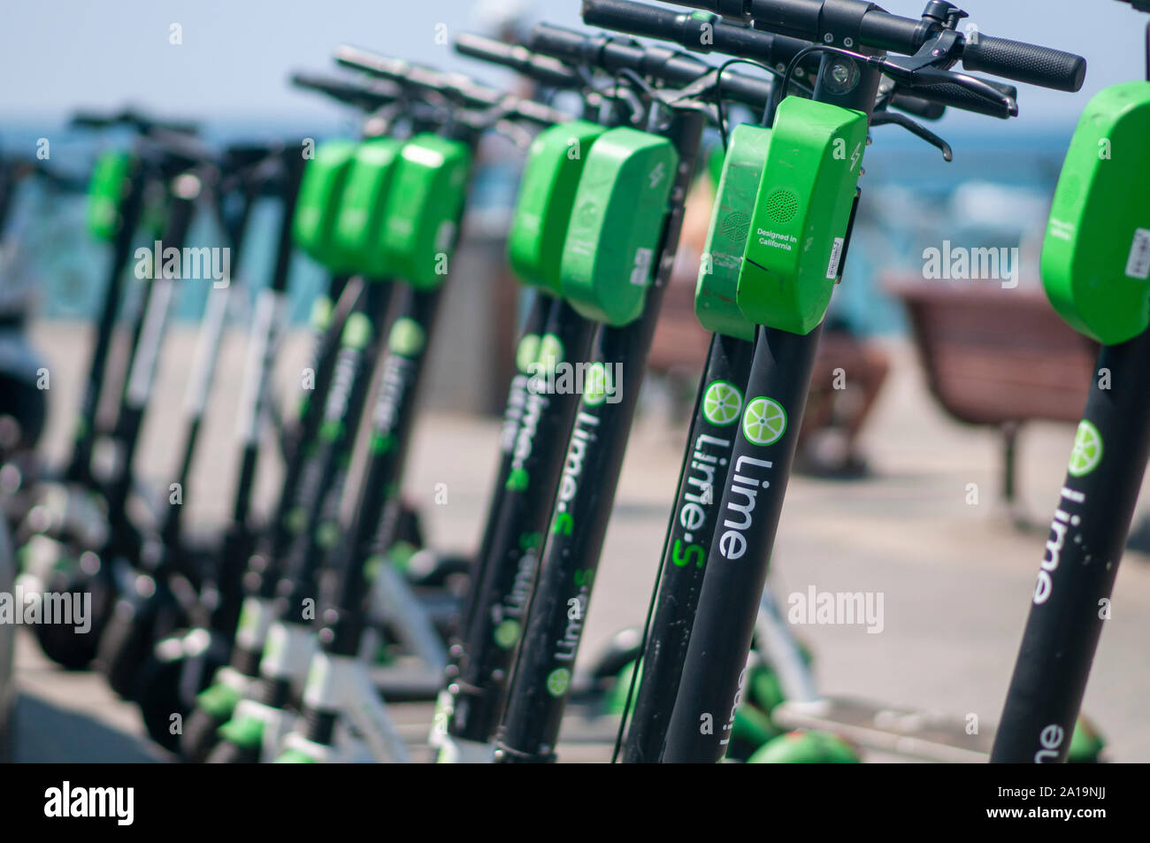 Lime and Bird electric scooters for rent by the minute Photographed in