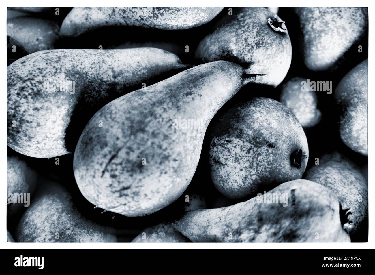 A bushel of pears Stock Photo Alamy