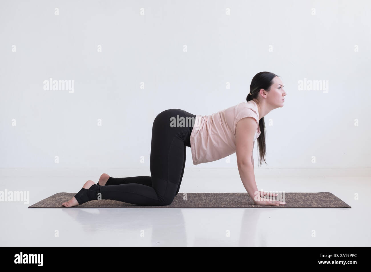 How to Do Wild Thing Pose in Yoga — Alo Moves