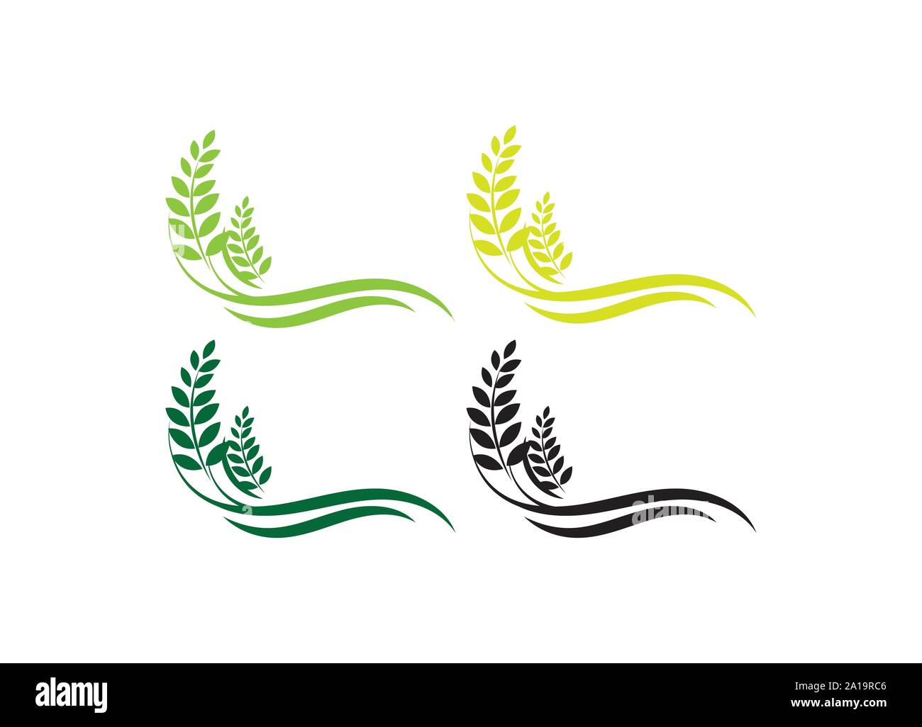 Agriculture wheat Logo Template vector icon design, Ears of Wheat, Barley or Rye vector visual graphic icons, Agriculture icon. Stock Vector