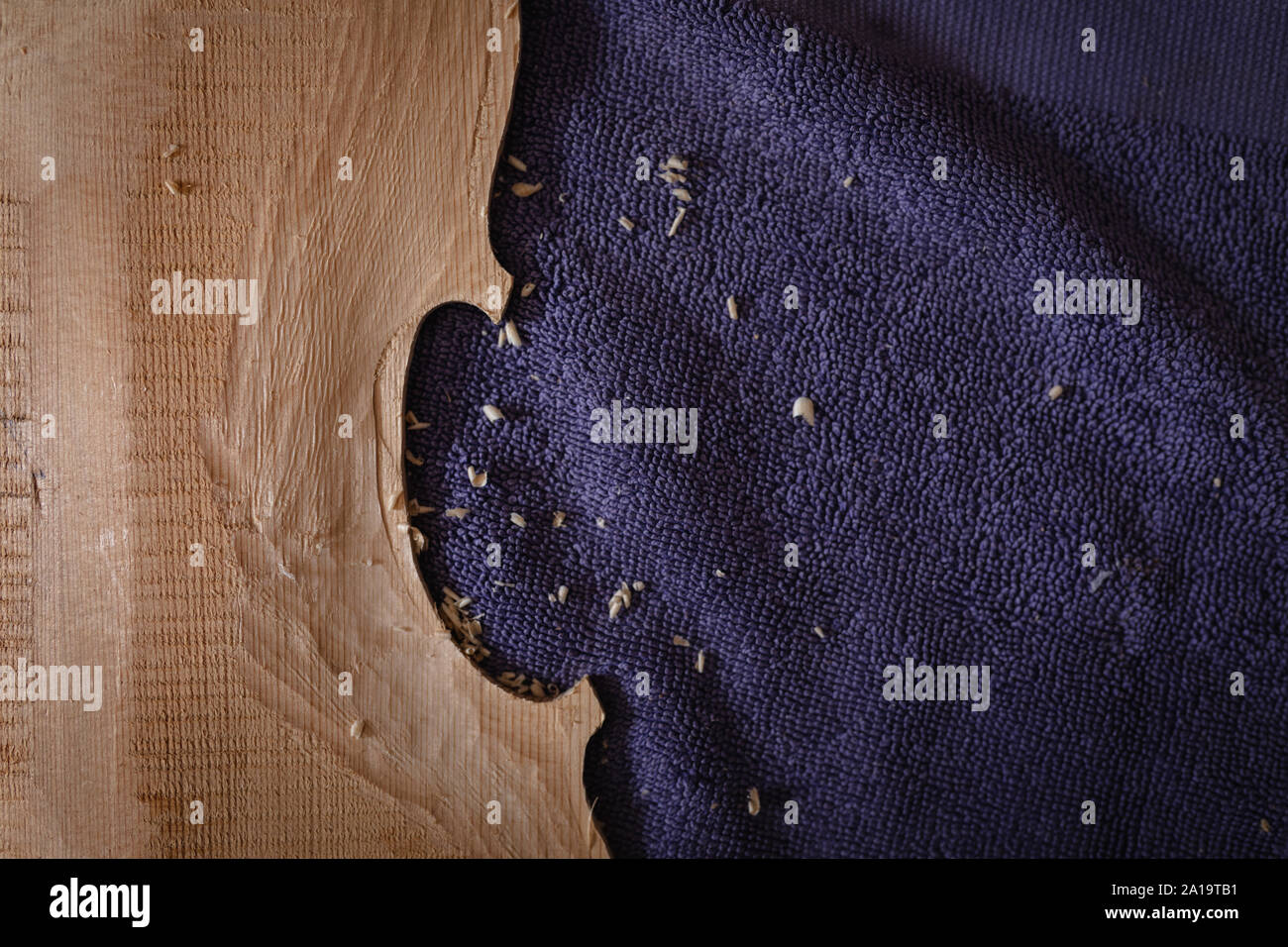 Violin being made in a workshop Stock Photo