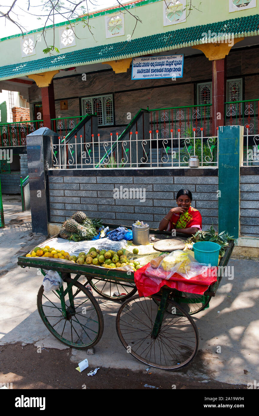 Indian woman selling oranges near Chitradurga Fort. Chitradurga