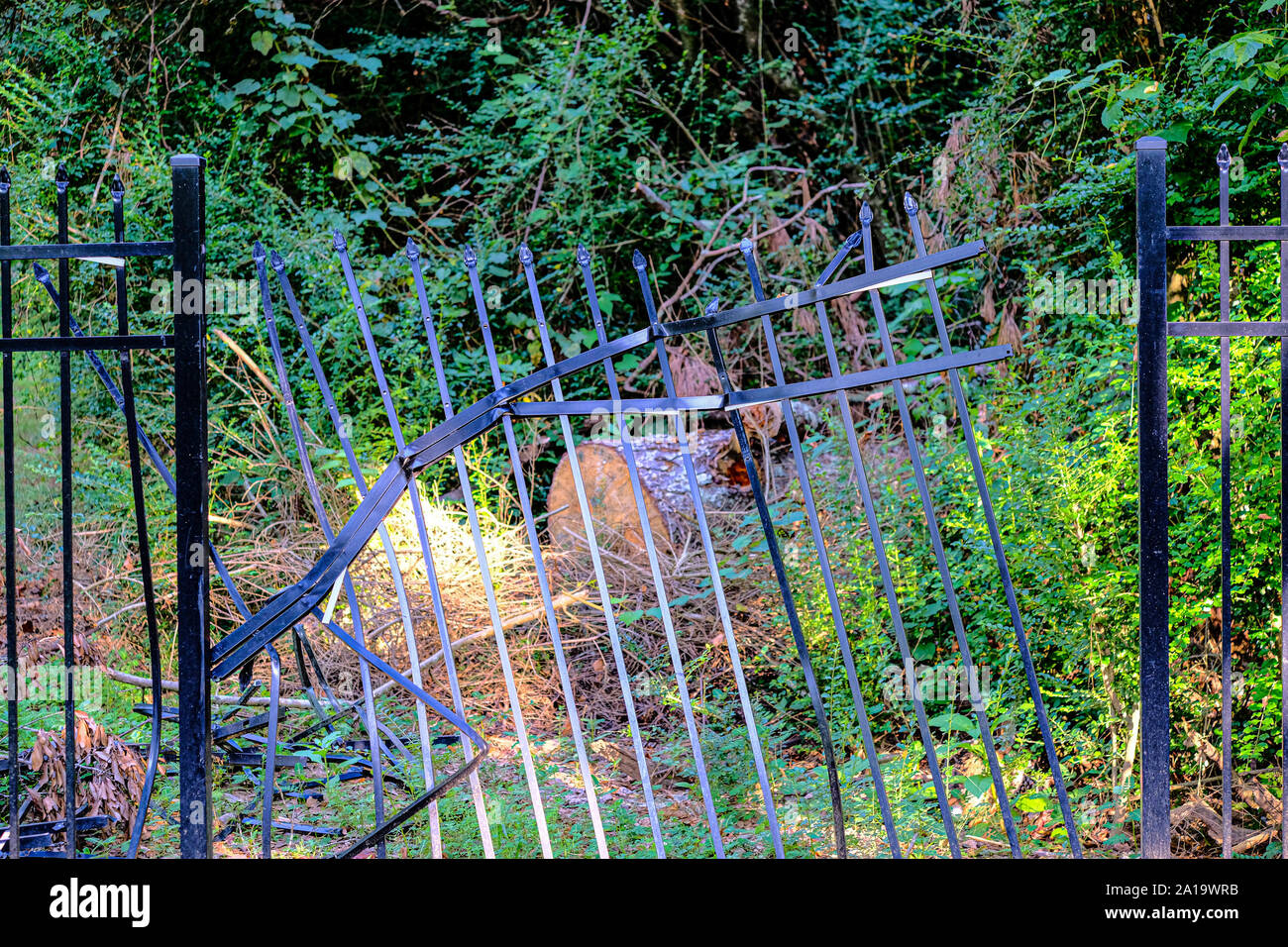 Tree Damage on Iron Fence Stock Photo