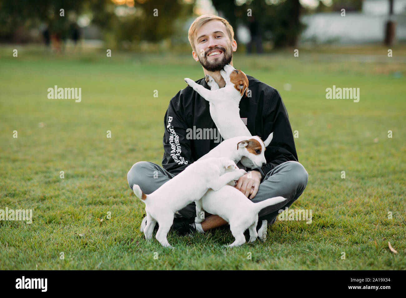Man Dog Walking Small Jack Stock Photos Man Dog Walking Small