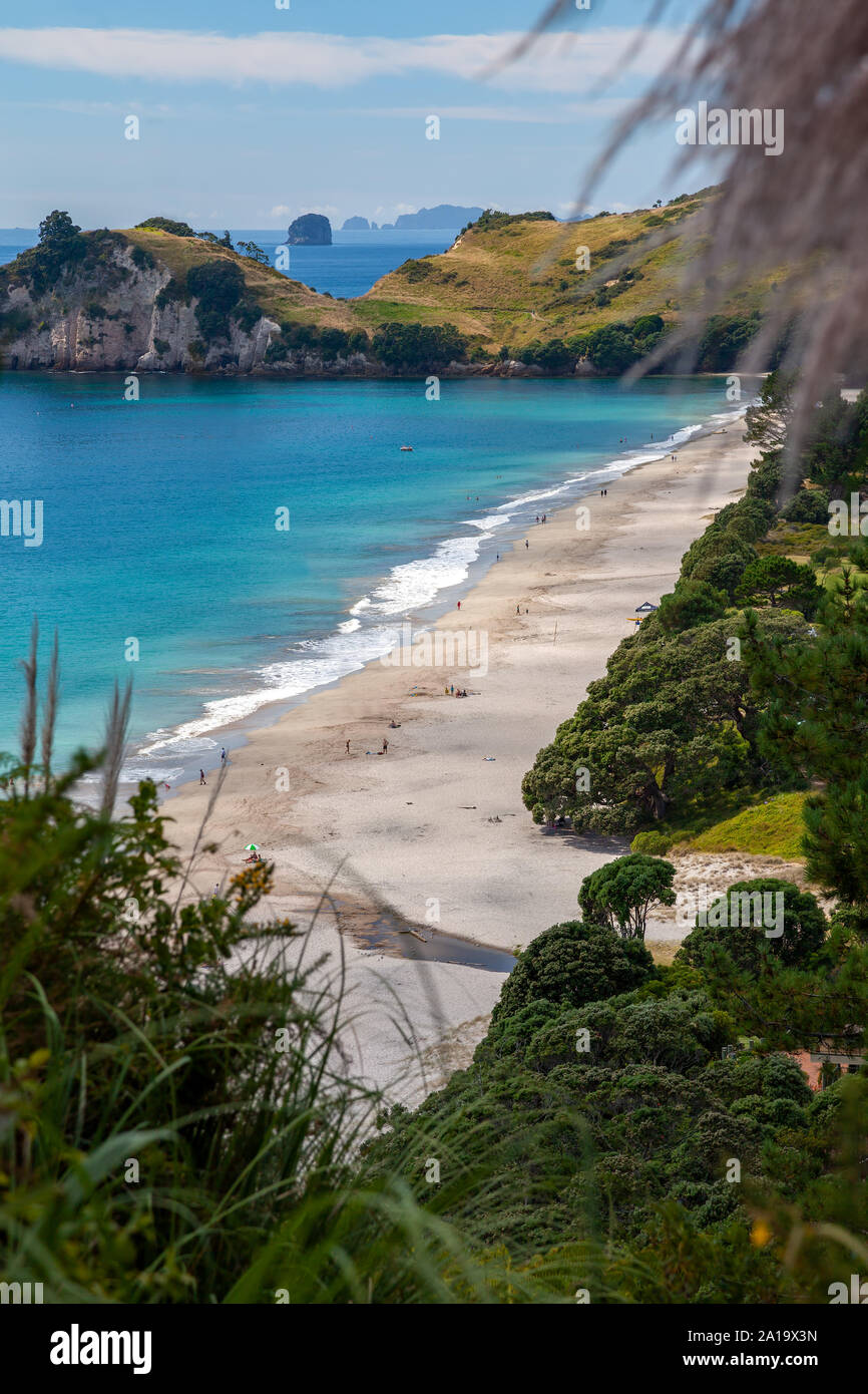 View of Hahei beach in New Zealand Stock Photo