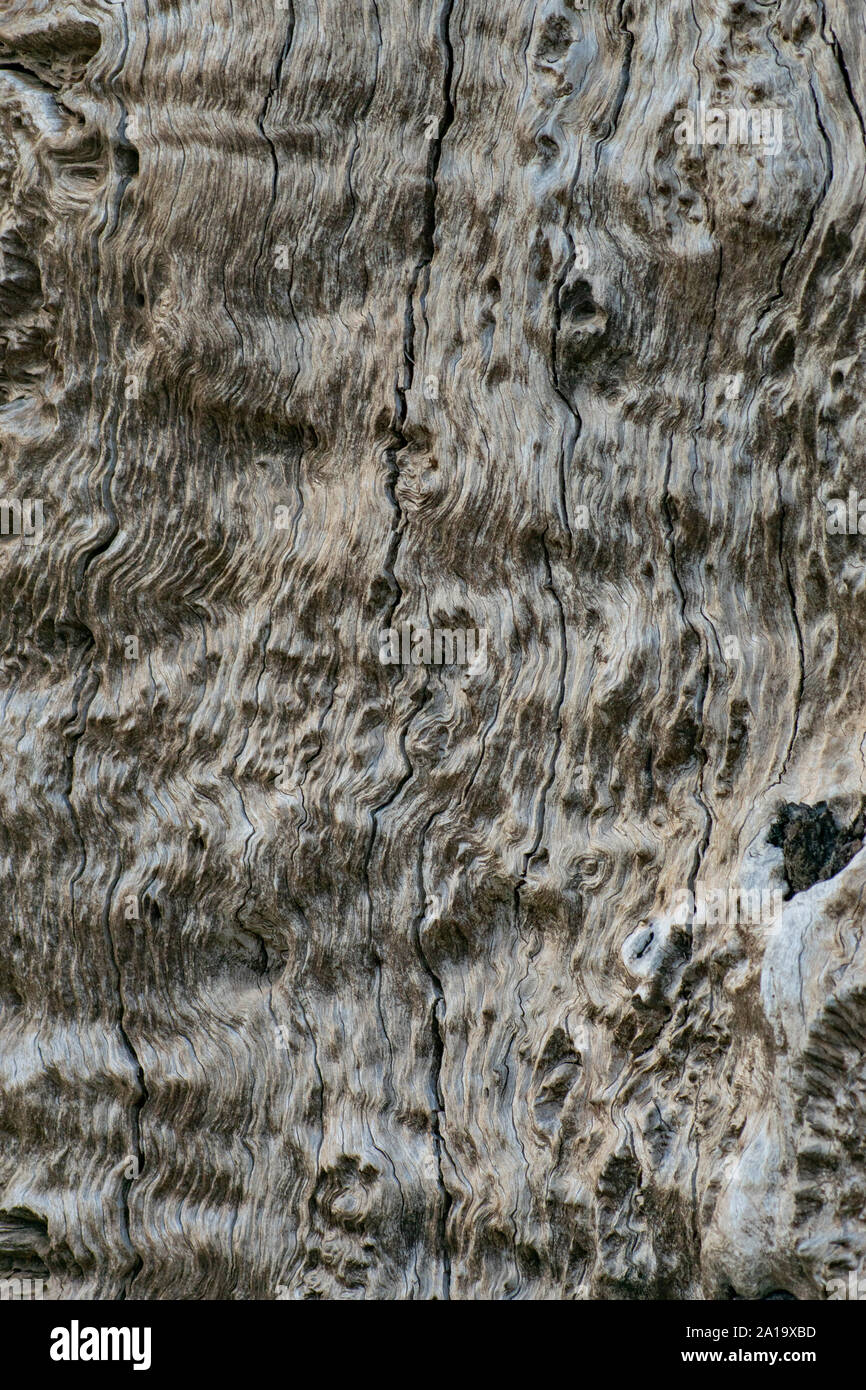 Tight grain wood hires stock photography and images Alamy