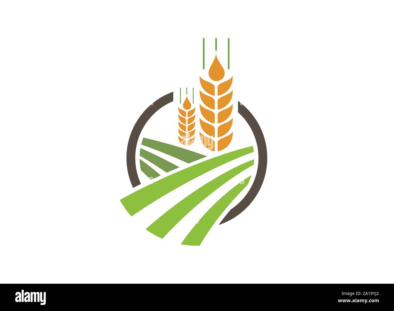 Agriculture wheat Logo Template vector icon design, Ears of Wheat, Barley or Rye vector visual graphic icons, Agriculture icon. Stock Vector