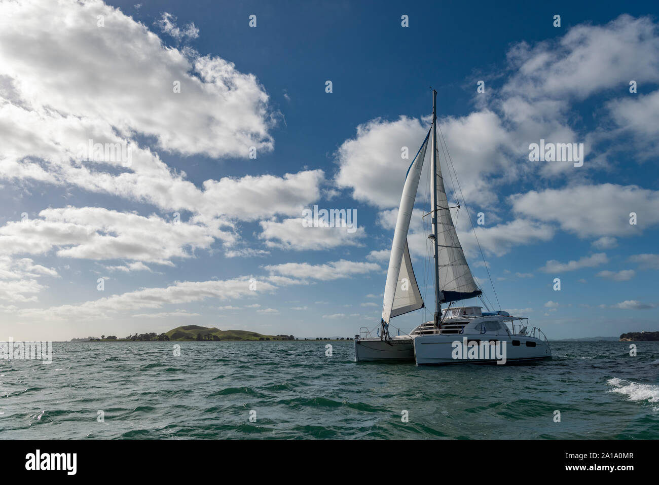 Leopard Catamaran Sailing Stock Photo Alamy