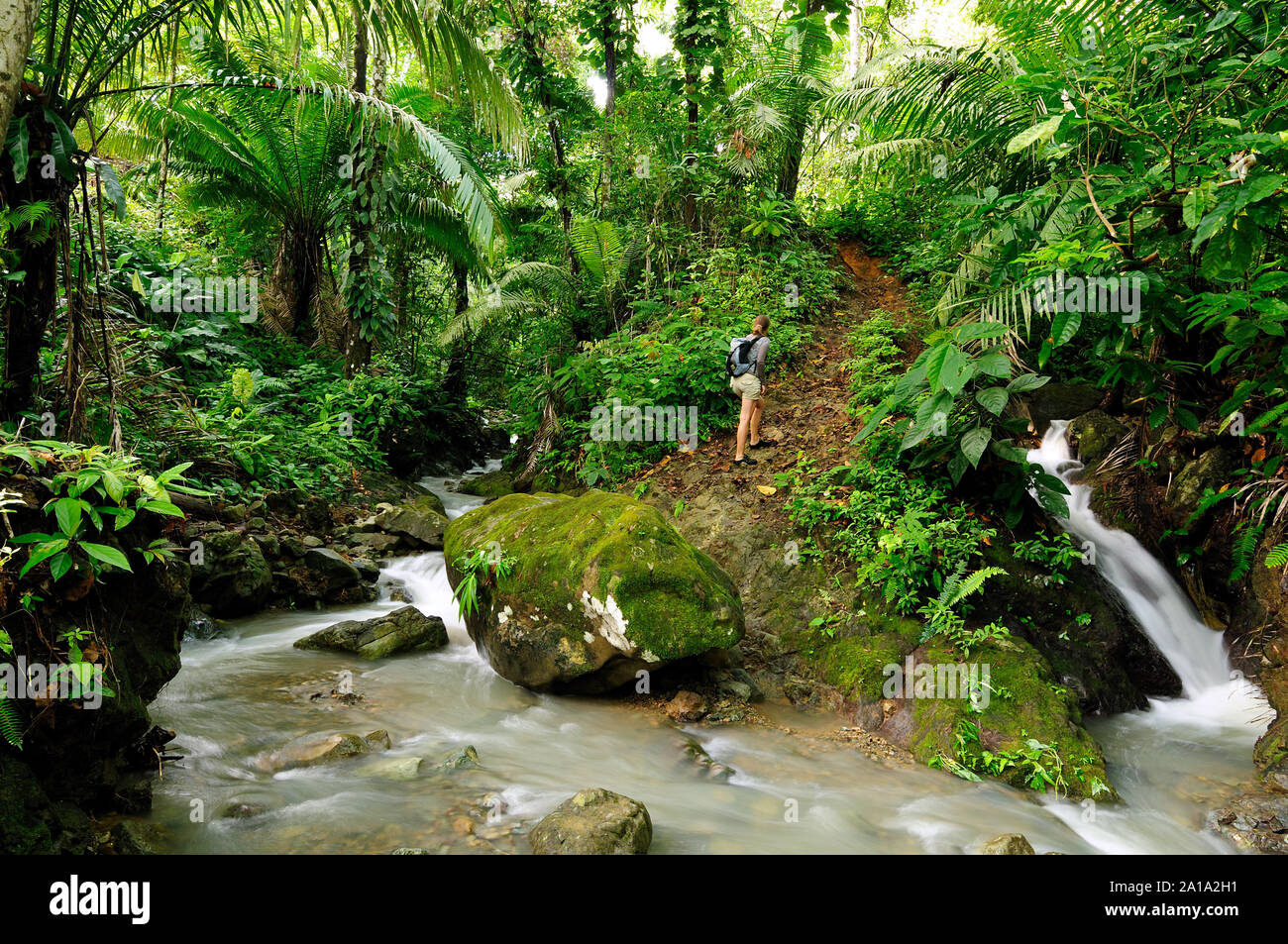 Tourist in wild Darien jungle near Colombia and Panama border. Central