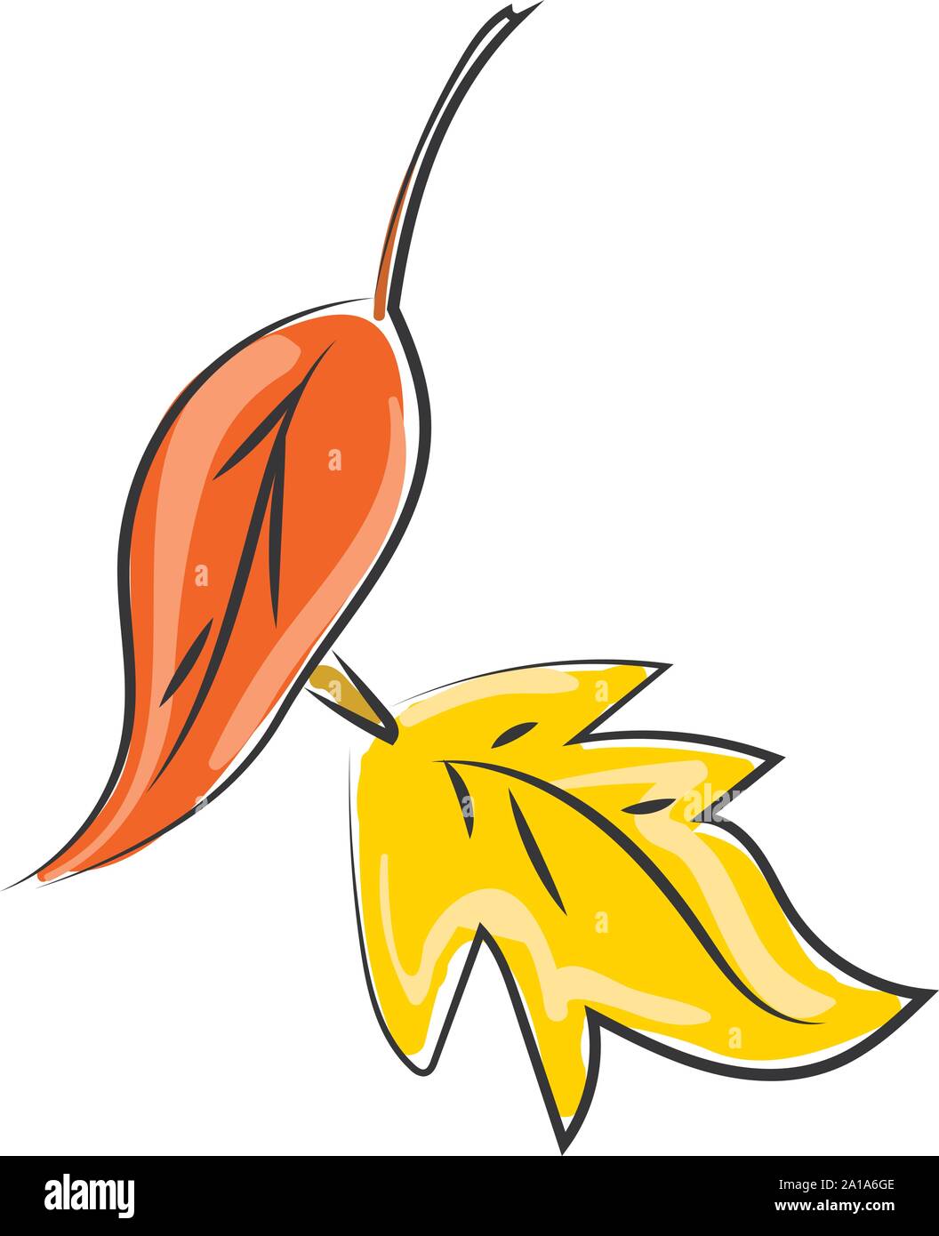 Autumn leafs, illustration, vector on white background. Stock Vector