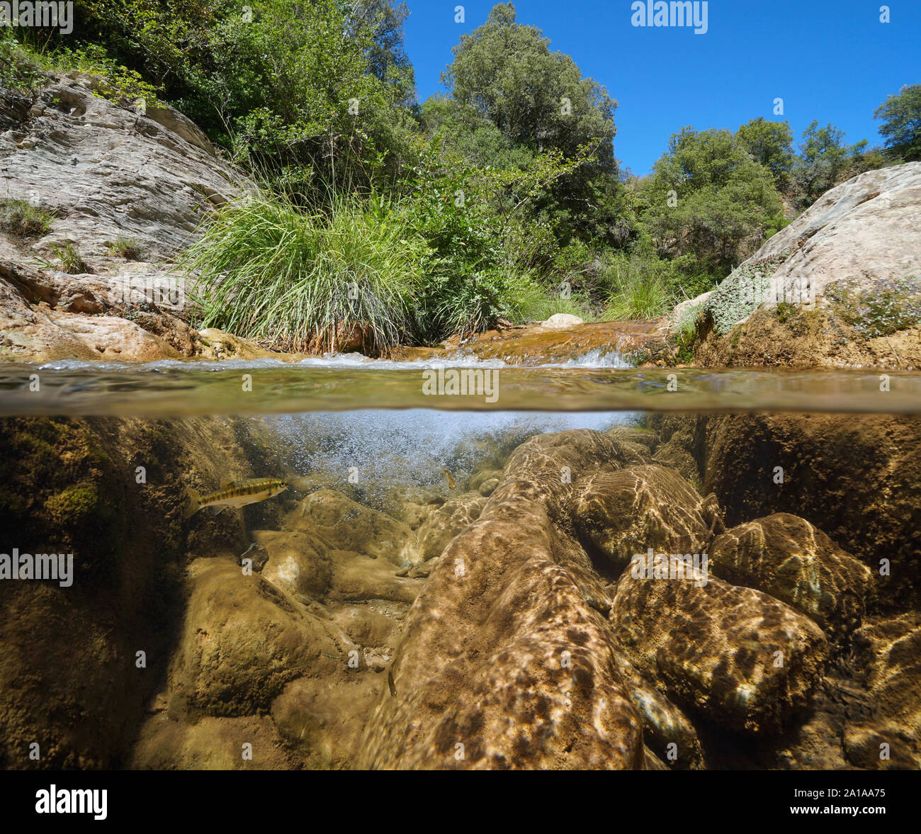 Wild rocky stream with water flowing, split view over and under water surface, Spain, La Muga river, Catalonia Stock Photo