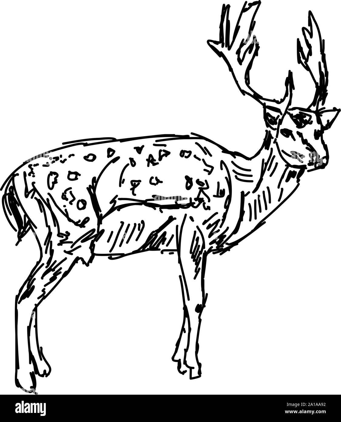 Deer drawing, illustration, vector on white background Stock Vector