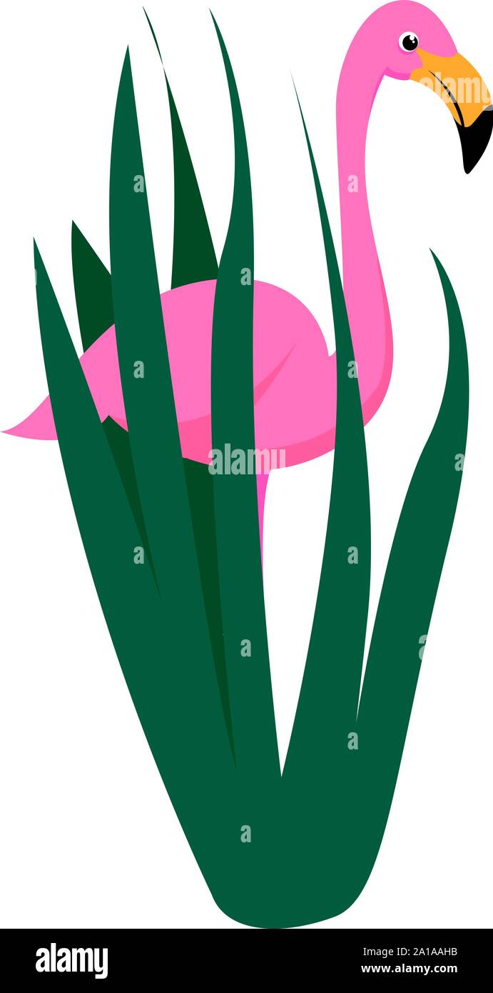 Flamingo in grass, illustration, vector on white background. Stock Vector