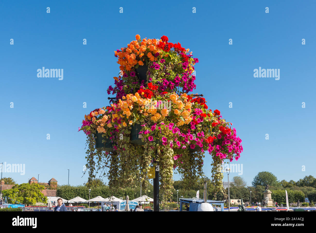 Colourful hanging basket displays on posts in late summer sunshine in