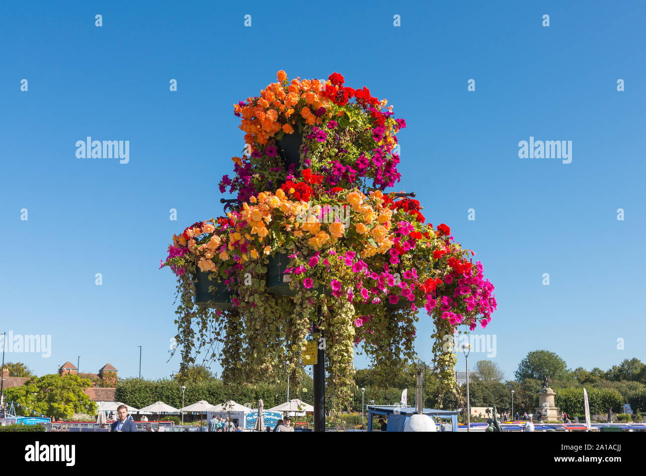 Colourful hanging basket displays on posts in late summer sunshine in Stratford-upon-Avon, Warwickshire, UK Stock Photo