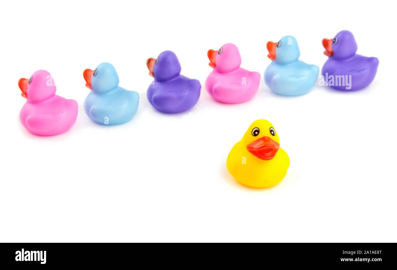 Rubber duck separating from other ducklings - concept of individualism Stock Photo