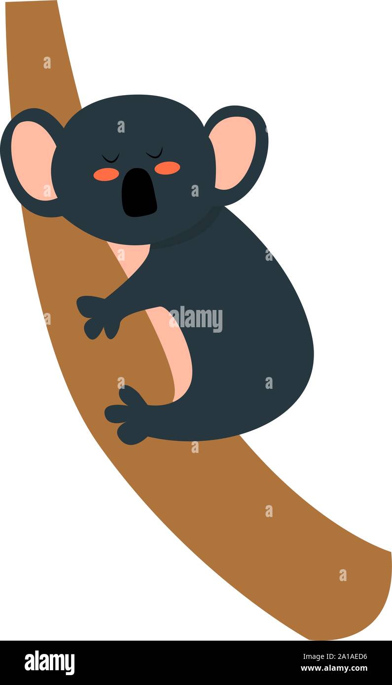 Koala on tree, illustration, vector on white background. Stock Vector