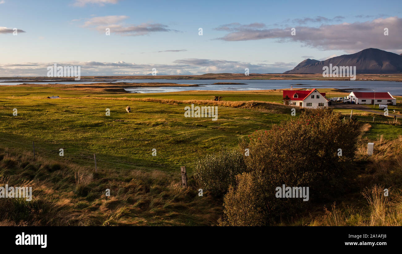 Farmland near Iceland Stock Photo Alamy