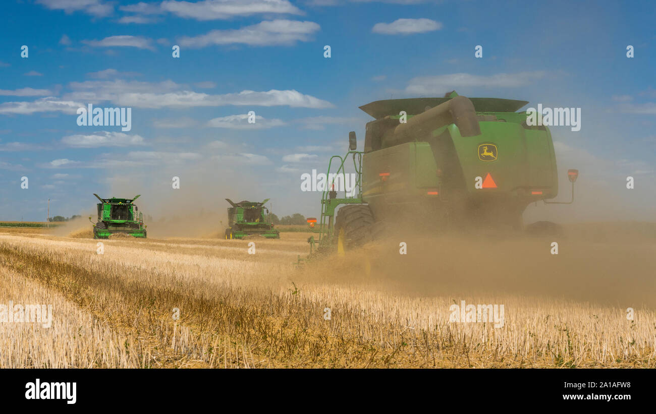 Canola harvest on the Froese farm near Winkler, Manitoba, Canada. Stock Photo