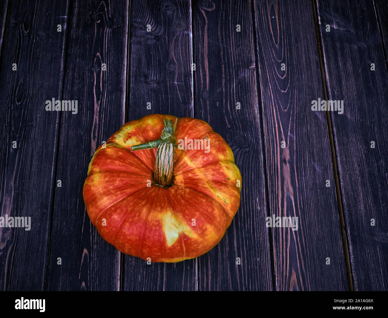 A very juicy and very multi-color beautiful pumpkin is photographed with good lighting on the background of a wooden floor and a natural piece of line Stock Photo