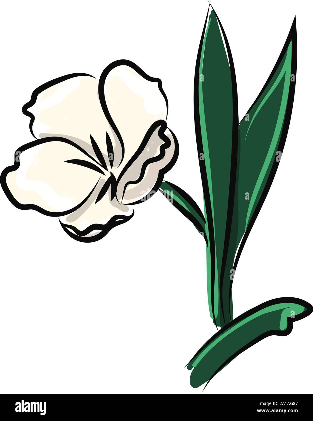 White flower, illustration, vector on white background Stock Vector