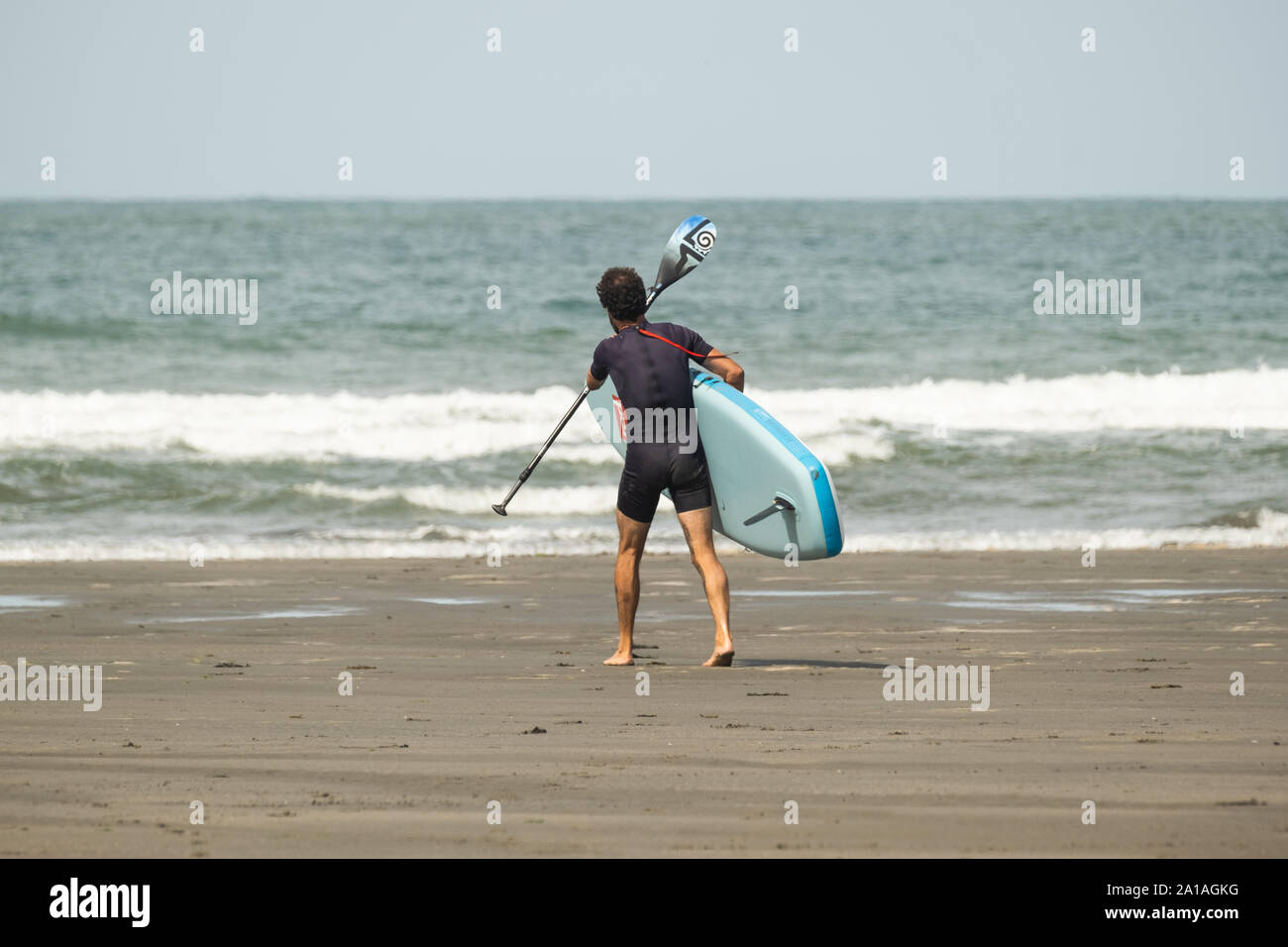 Travel and Tourism in the UK: A man with his paddleboard at Newport (Trefdraeth) Pembrokeshire, West Wales, August  2019 Stock Photo