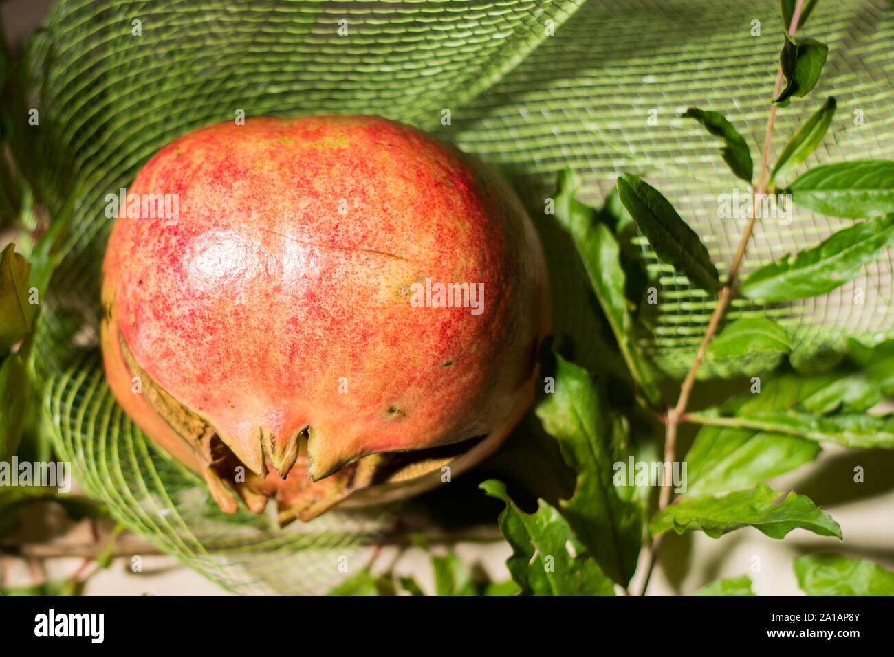 Pomegranate is a very special fruit that represents an authentic concentration of beneficial properties, so much so that it is considered a real super Stock Photo