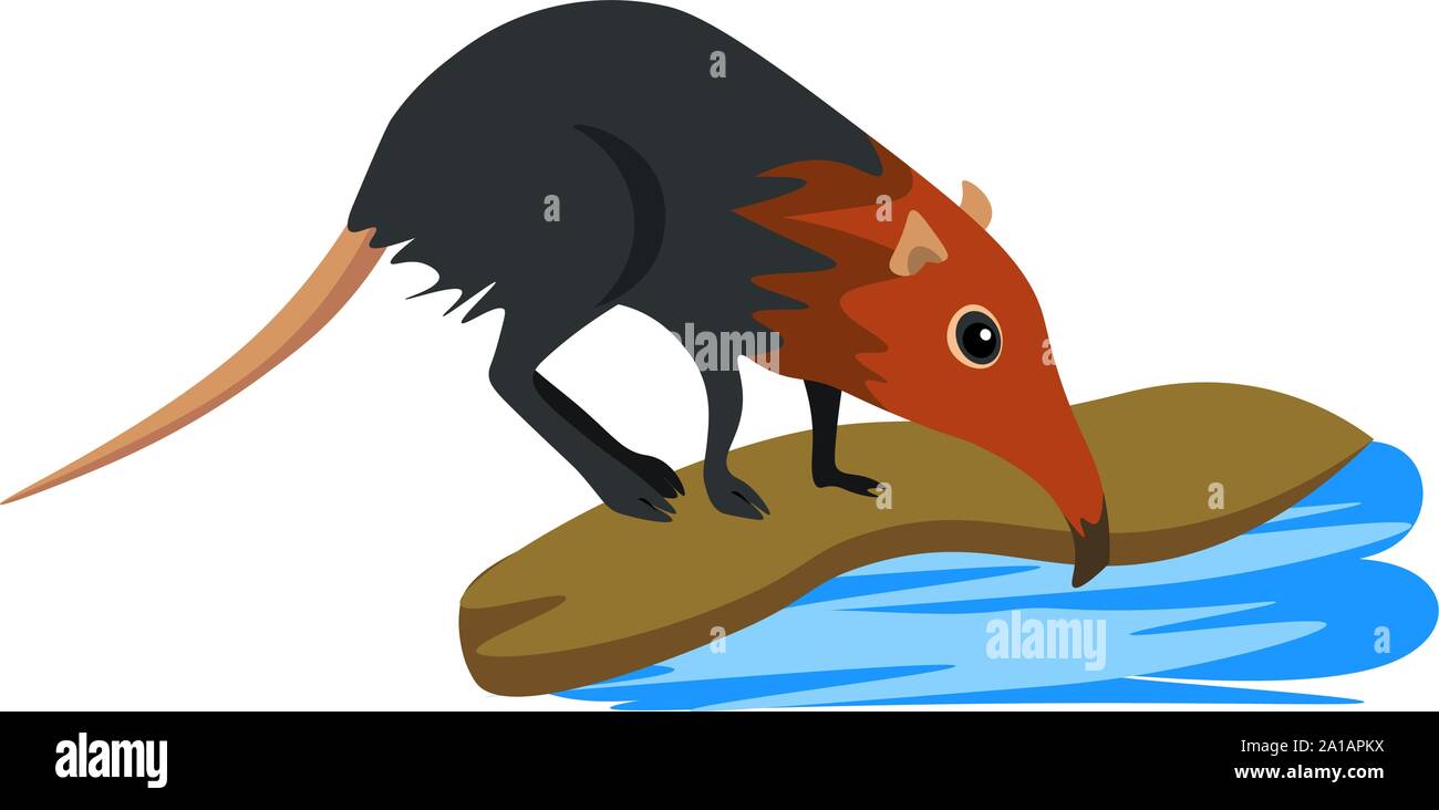 Weird rat, illustration, vector on white background. Stock Vector