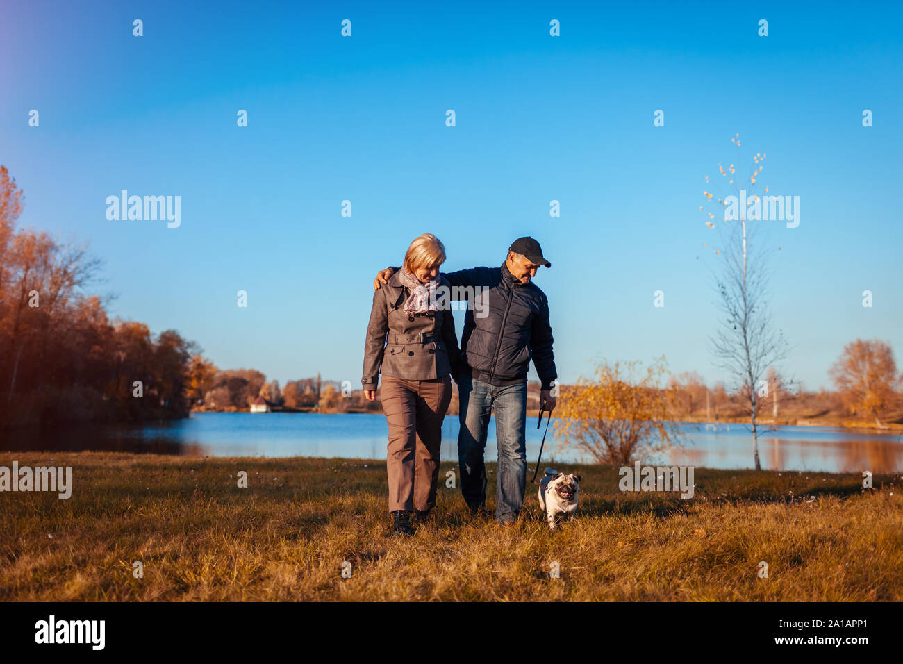 Senior couple walking pug dog in autumn park by river. Happy man and woman enjoying time with pet. Stock Photo
