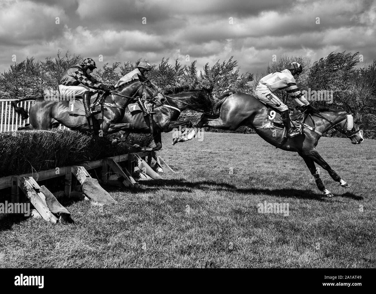 horses jumping fence at point to point Stock Photo