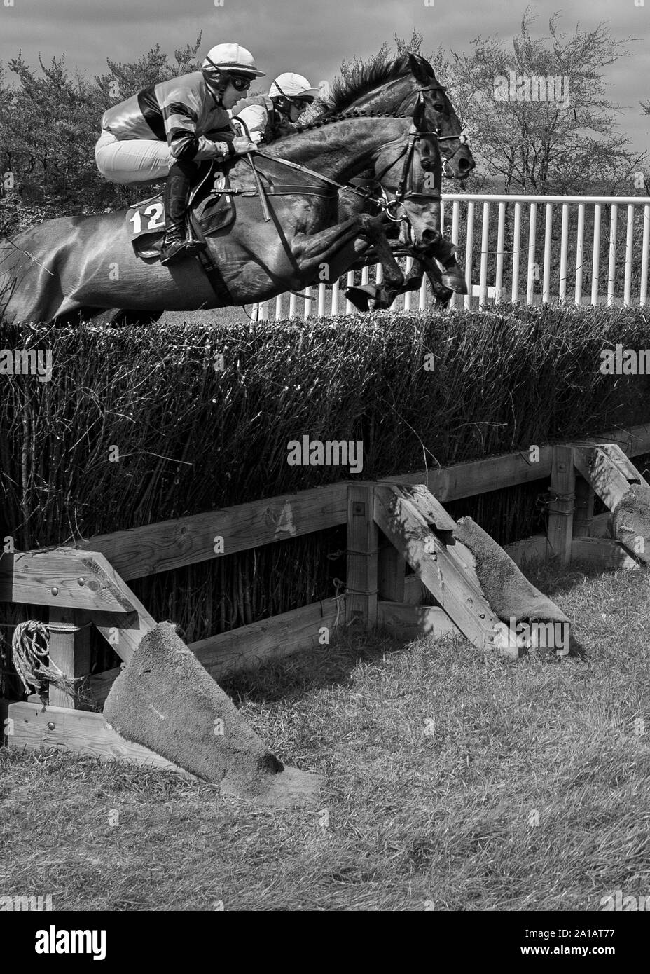 three jokeys and horses jumping fence at point to point hun England Stock Photo