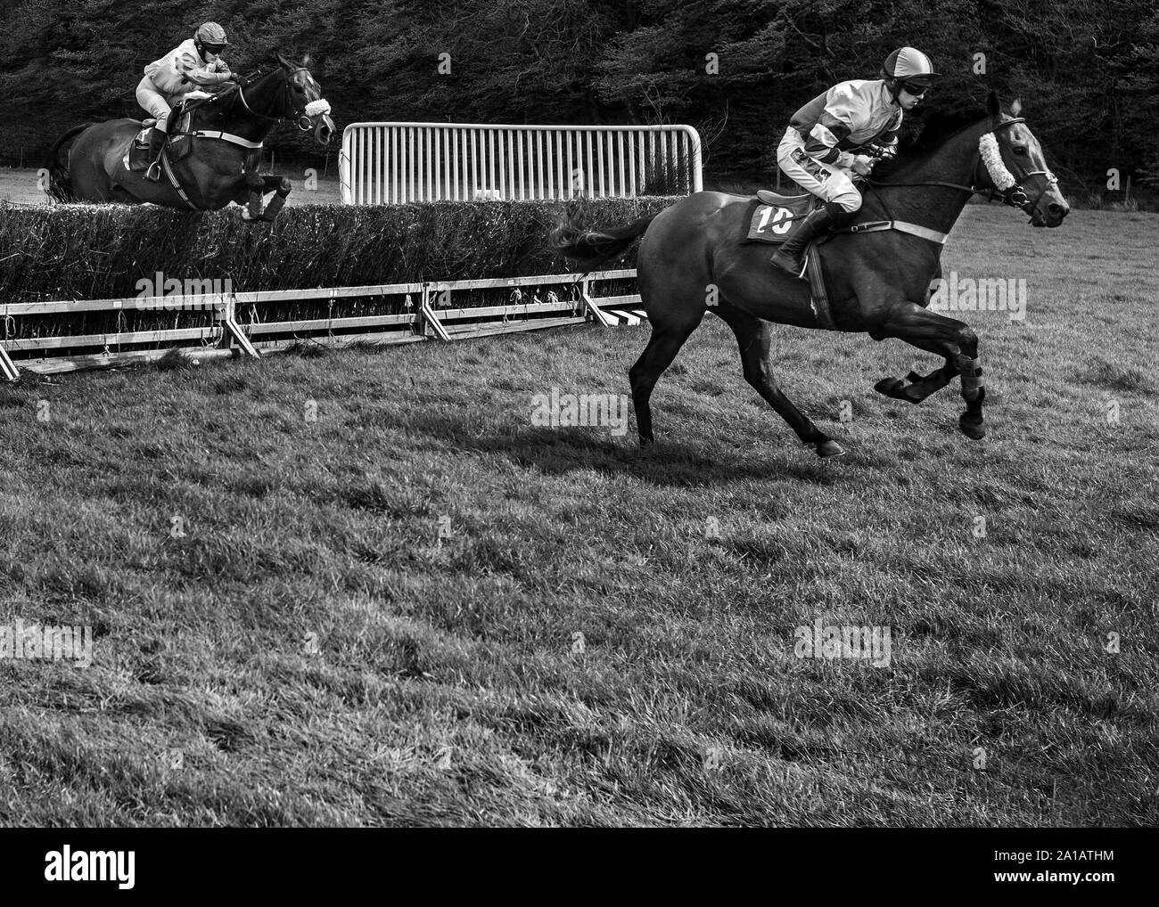 two jokeys jumping fence at point to point Four Burrow Hunt England Stock Photo