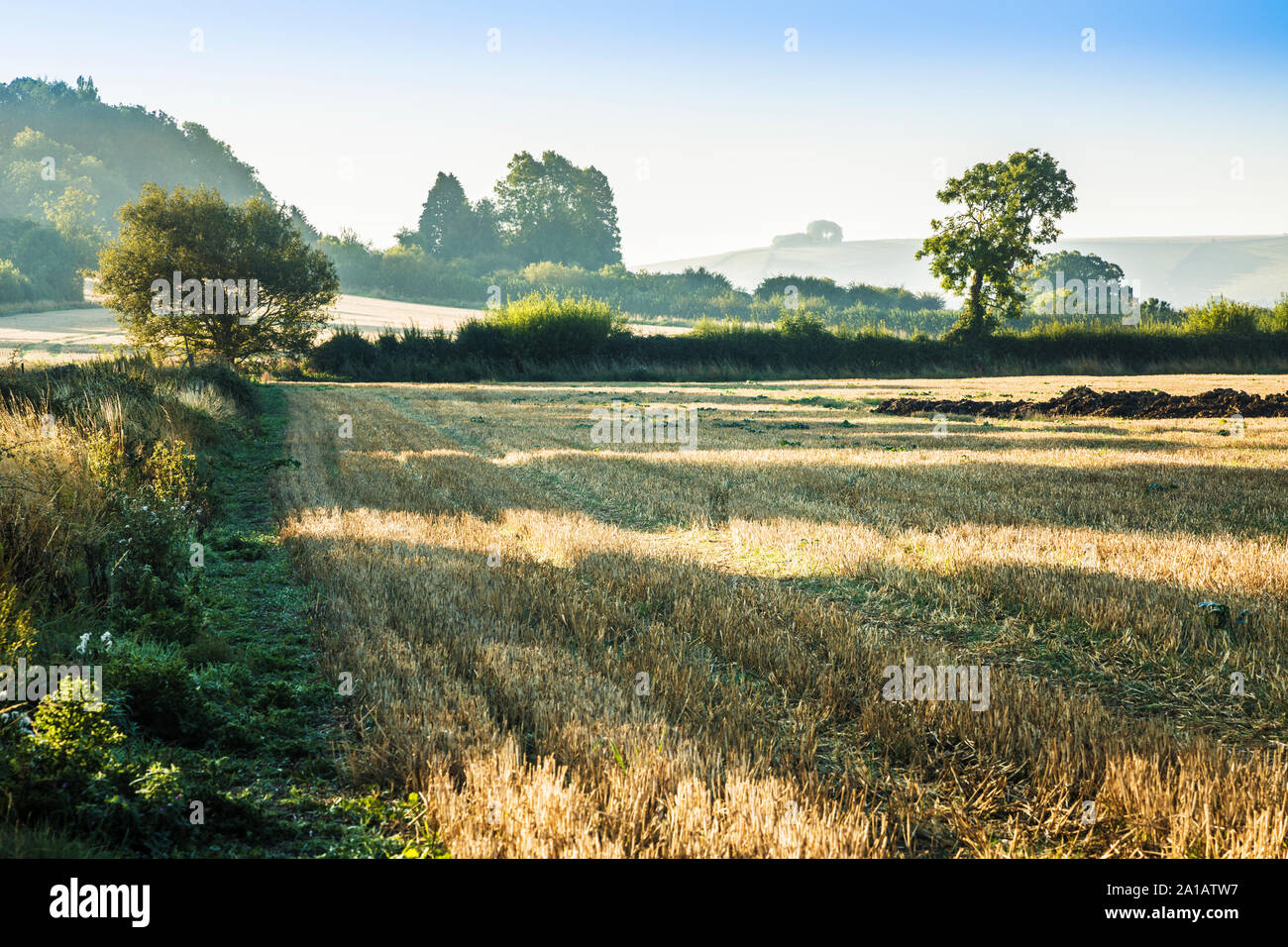 The view towards Liddington Hill near Swindon, Wiltshire on an early autumn morning. Stock Photo