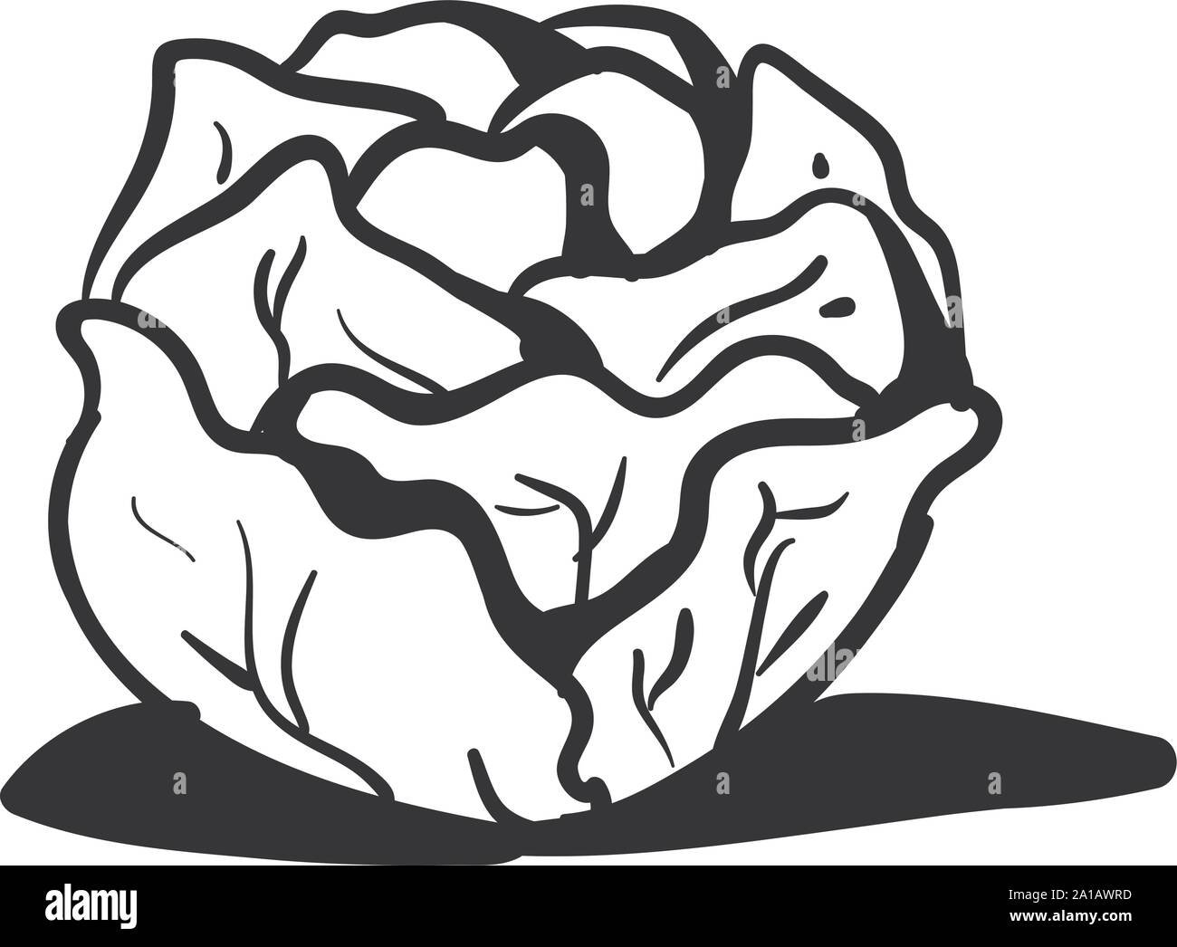 clipart cabbage black and white