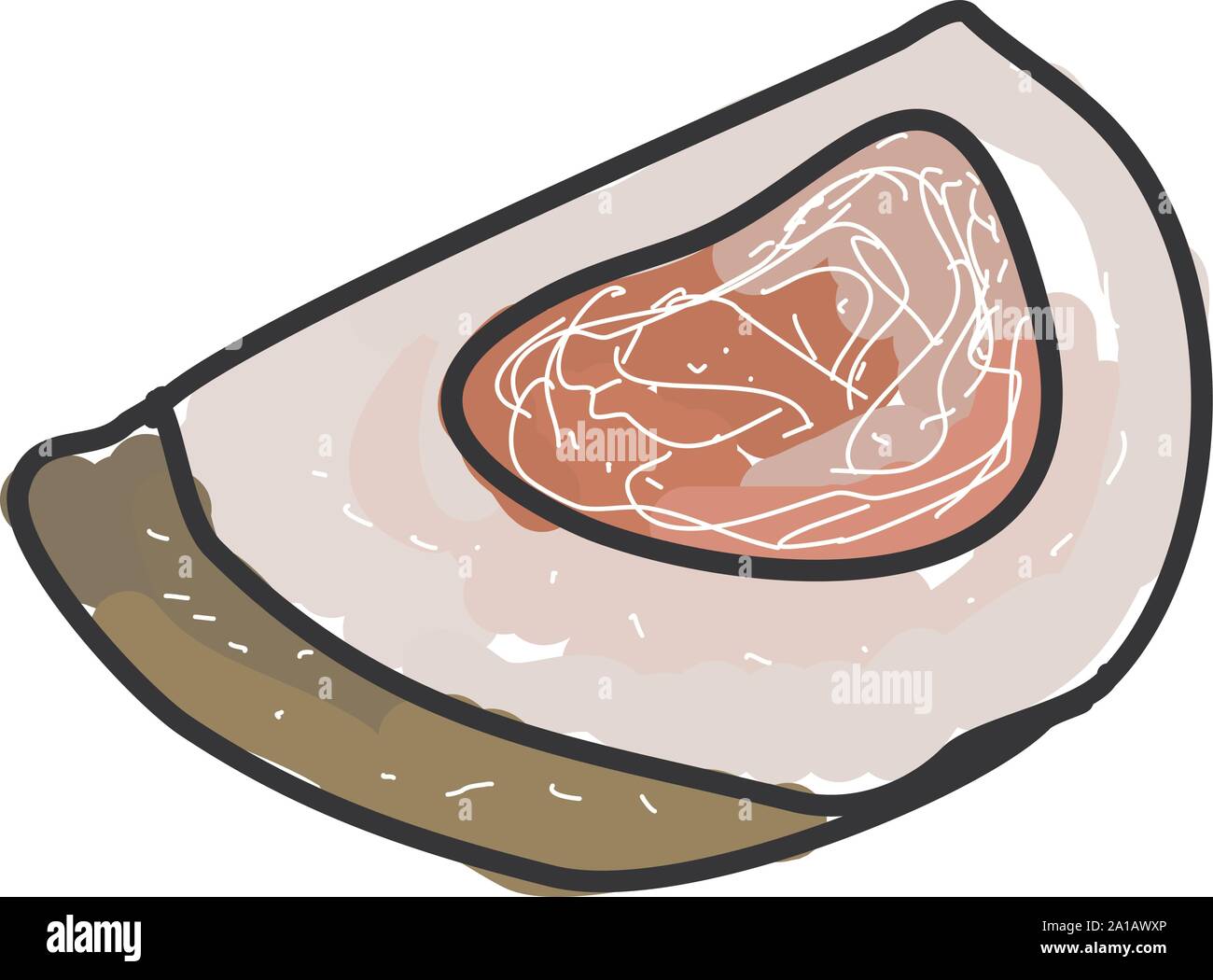 Pomelo, illustration, vector on white background. Stock Vector