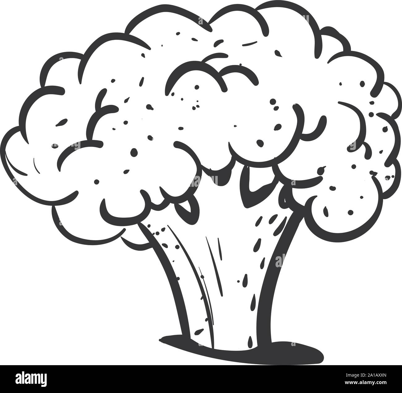 Cauliflower drawing, illustration, vector on white background Stock Vector  Image & Art - Alamy