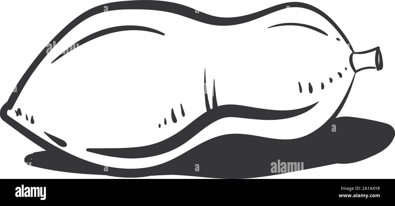 Papaya drawing, illustration, vector on white background. Stock Vector