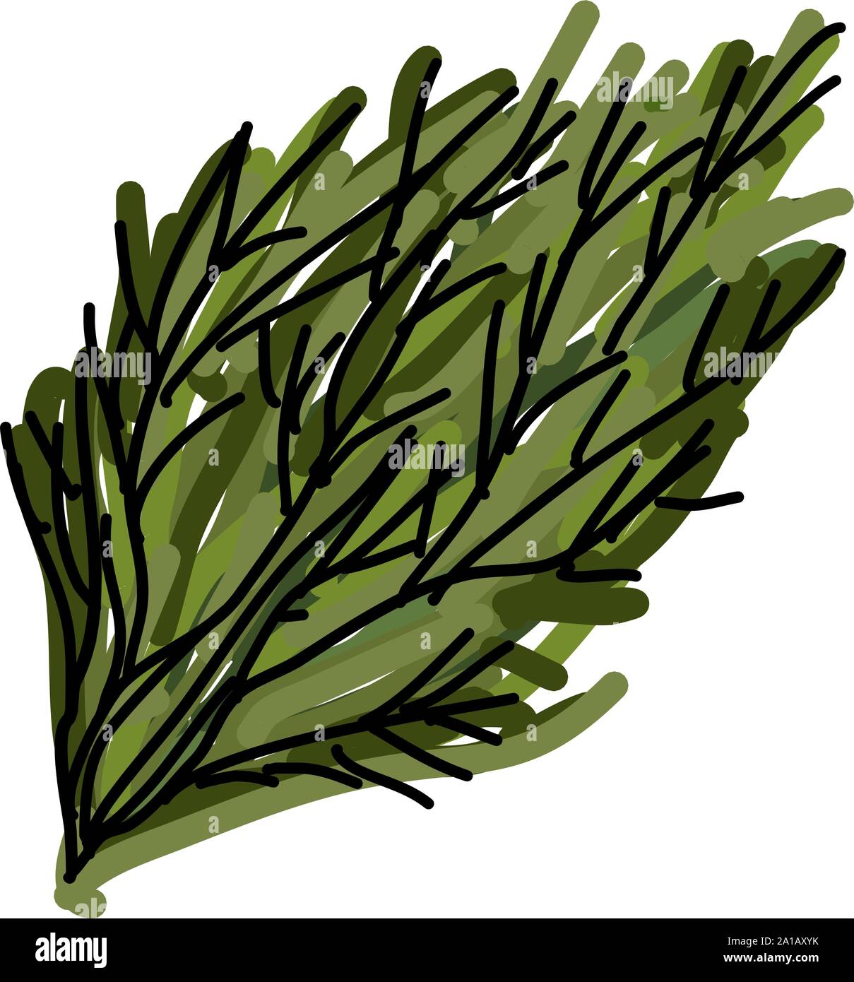Fresh dill, illustration, vector on white background Stock Vector Image