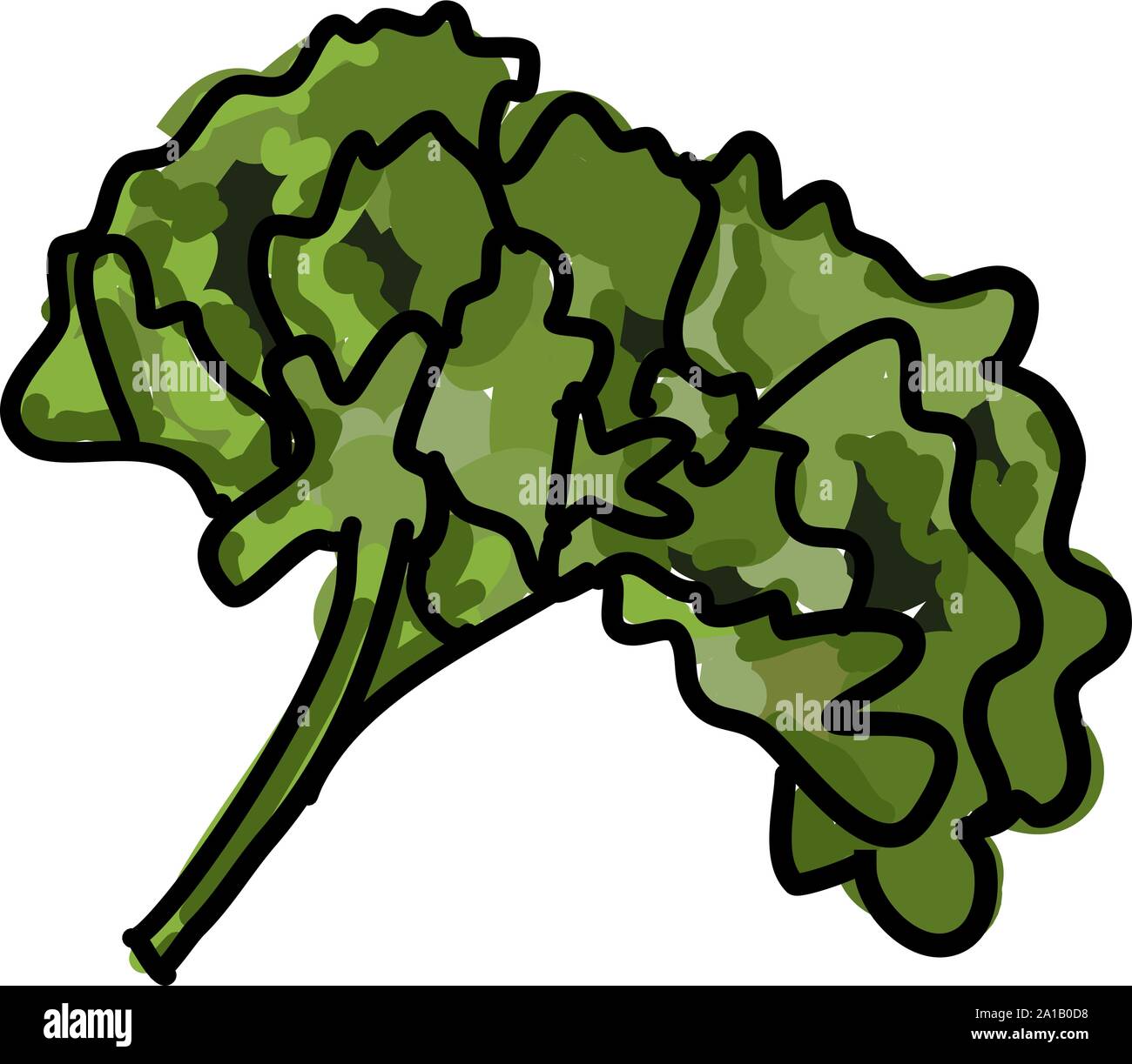 Curly green, illustration, vector on white background. Stock Vector