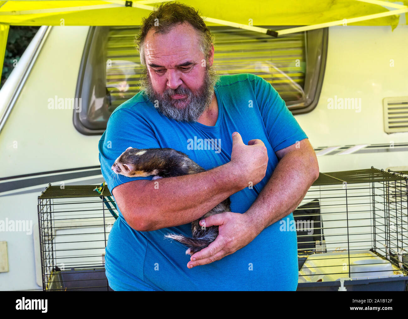 A bearded man holding his pet ferret. Stock Photo
