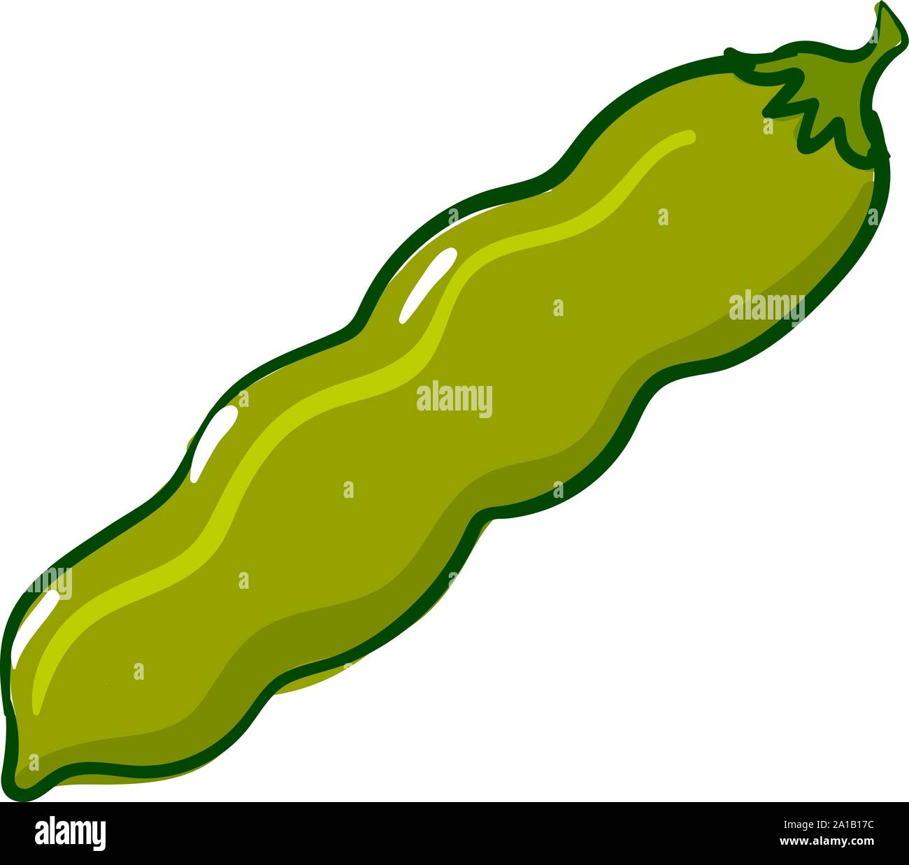 Green beans, illustration, vector on white background Stock Vector