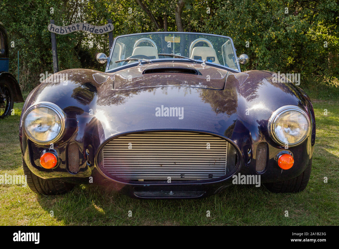 An AC Cobra replica sports car on show at a classic and vintage car