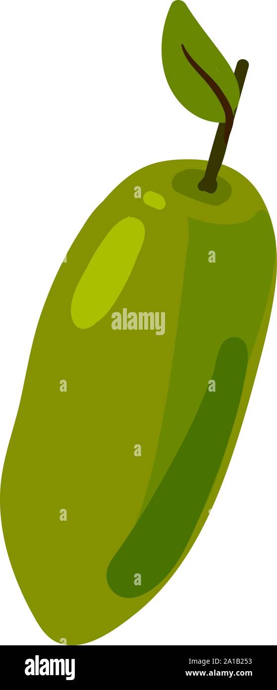 Green curuba, illustration, vector on white background. Stock Vector